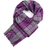 Purple / Gray