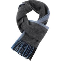 Blue / Dark Gray